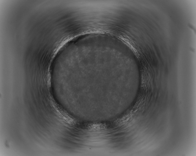 X0000097000584200802291149