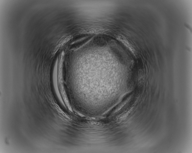 X0000097000585200802291149