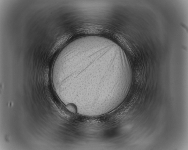 X0000097000586200802291149