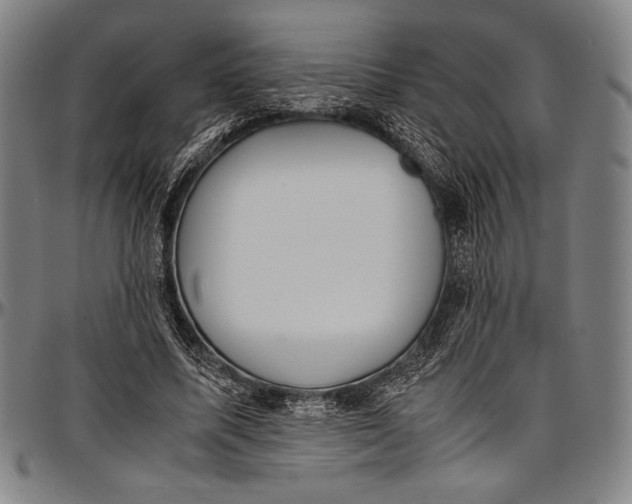 X0000097000587200802291149