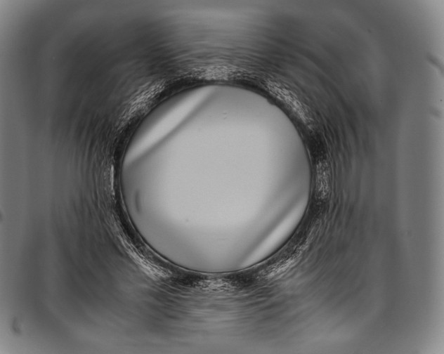 X0000097000589200802291149