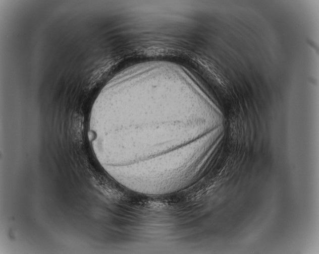 X0000097000592200802291149