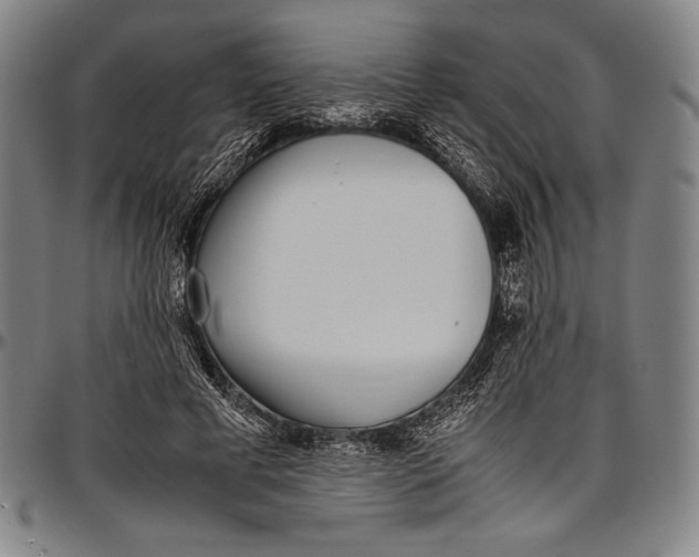 X0000097000593200802291149