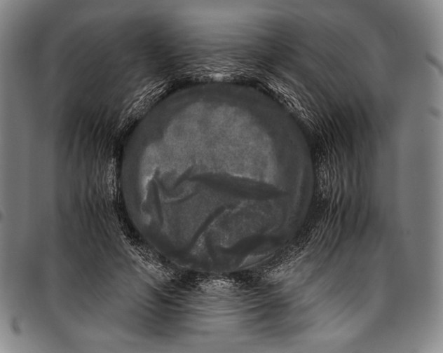 X0000097000594200802291149