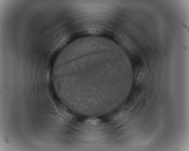 X0000097000595200802291149