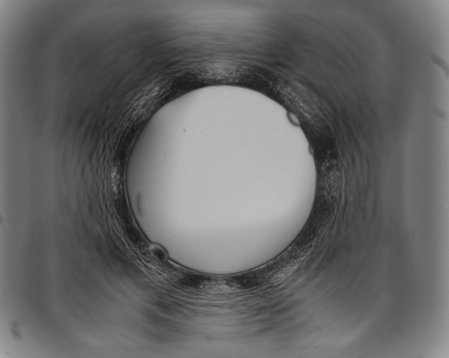 X0000097000597200802291149