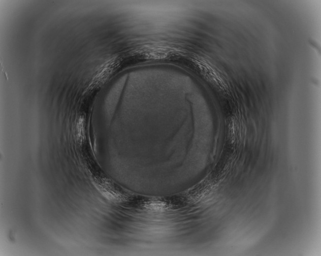 X0000097000598200802291149