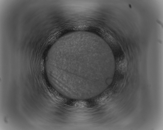 X0000097000599200802291149