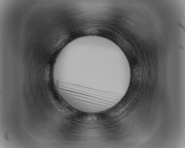 X0000097000600200802291149