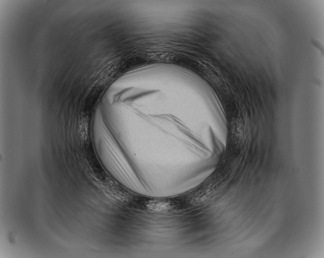 X0000097000602200802291149