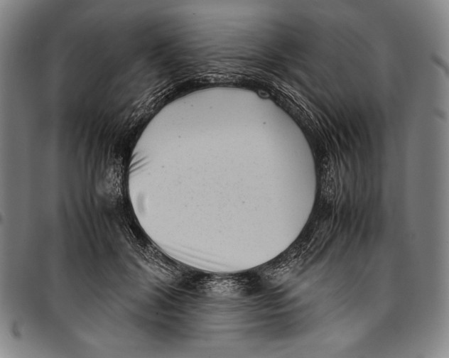 X0000097000604200802291149