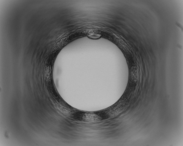 X0000097000605200802291149