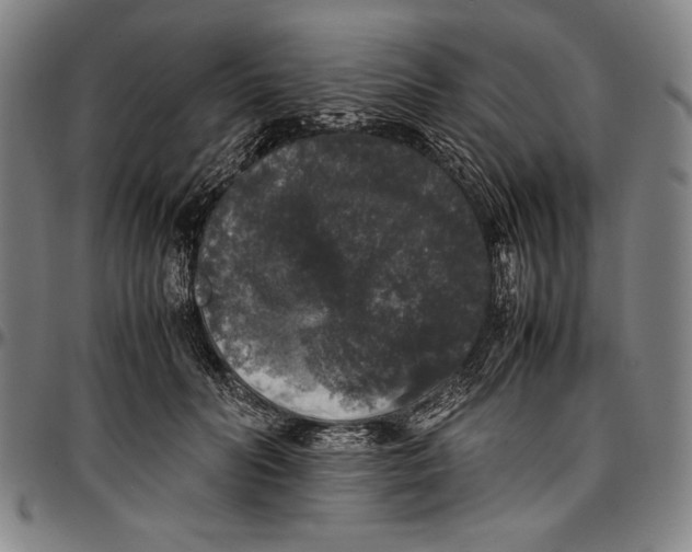 X0000097000606200802291149