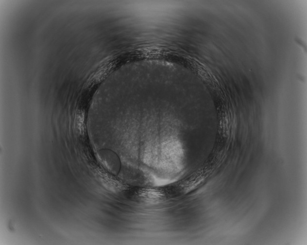 X0000097000610200802291149