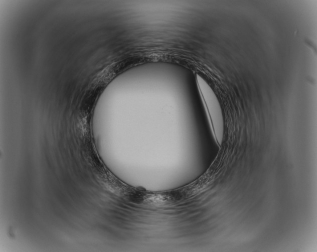 X0000097000611200802291149