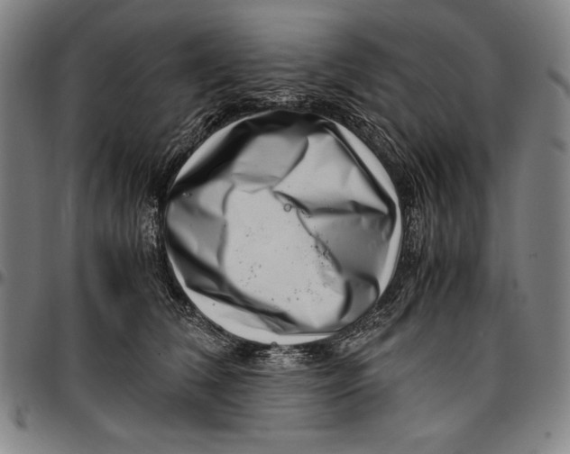 X0000097000612200802291149