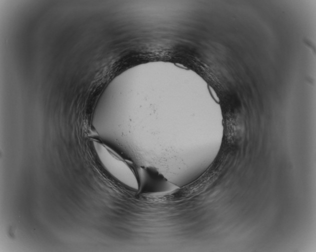 X0000097000613200802291149