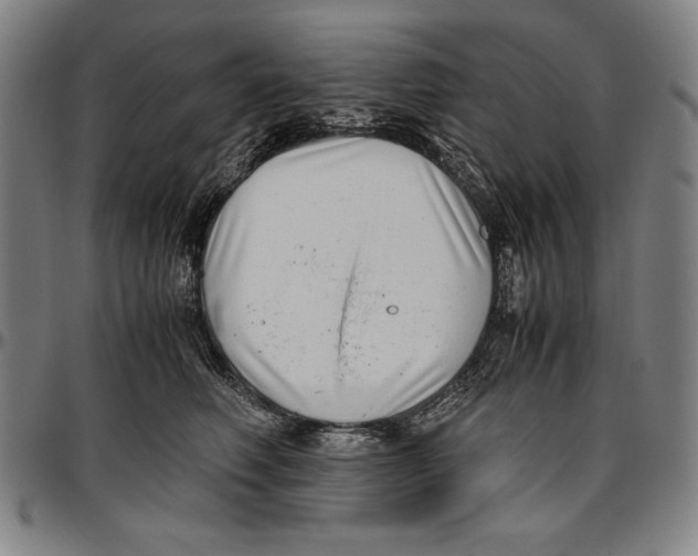 X0000097000614200802291149