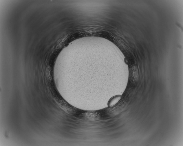 X0000097000615200802291149