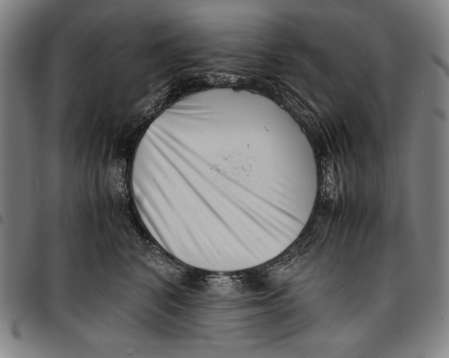 X0000097000616200802291149