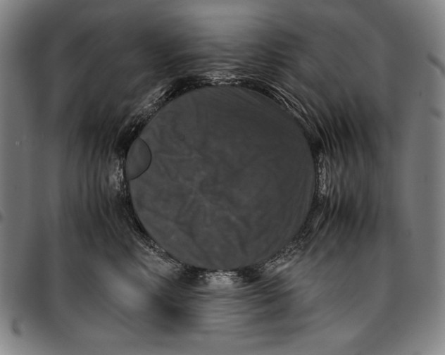 X0000097000618200802291149