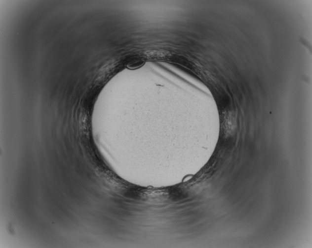 X0000097000619200802291149