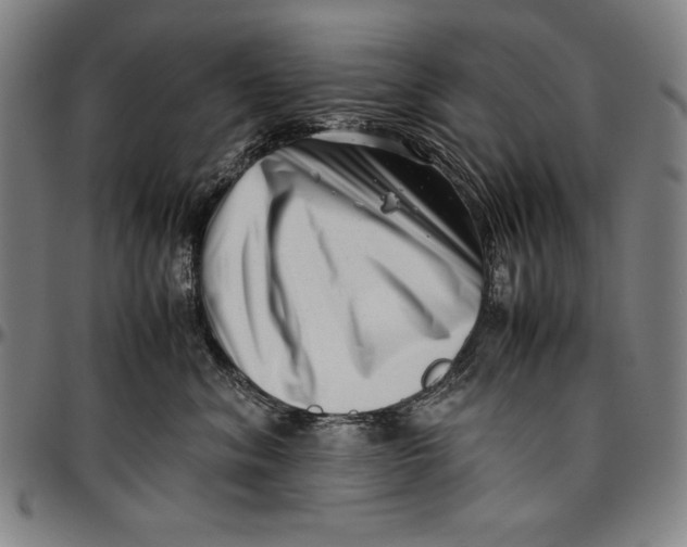 X0000097000620200802291149