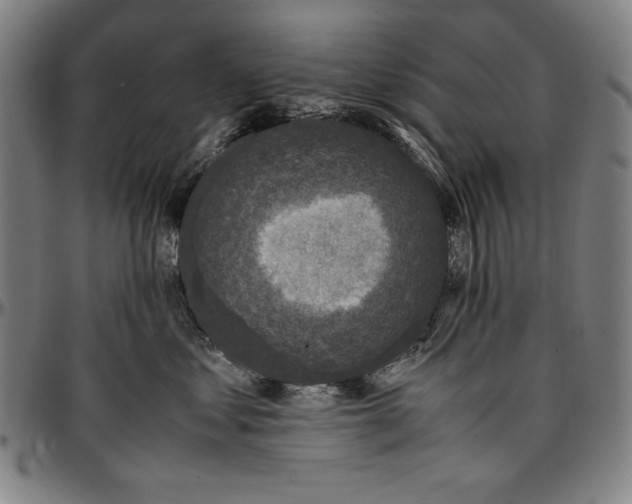 X0000097000621200802291148