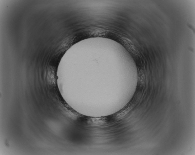 X0000097000622200802291148