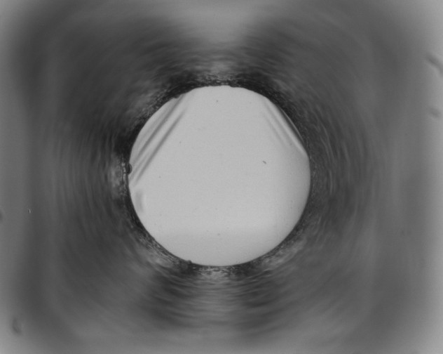 X0000097000624200802291148