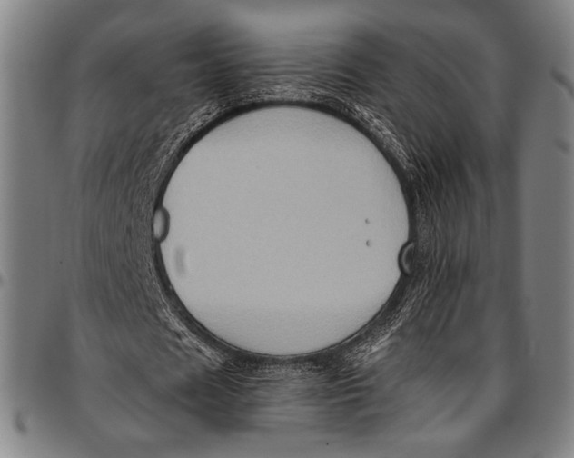 X0000097000625200802291148