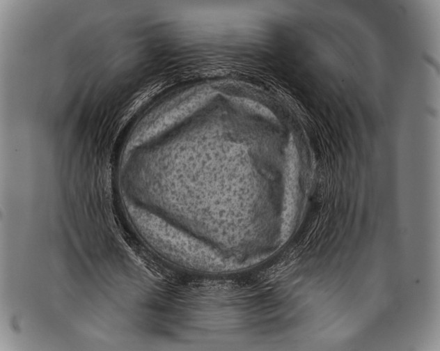 X0000097000626200802291148