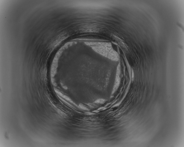 X0000097000627200802291148