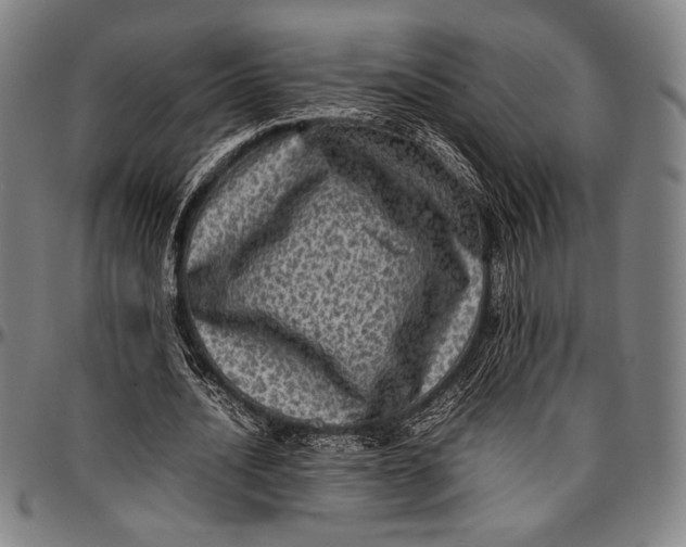 X0000097000628200802291148