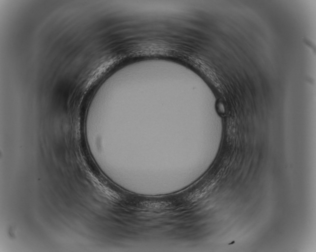 X0000097000629200802291148