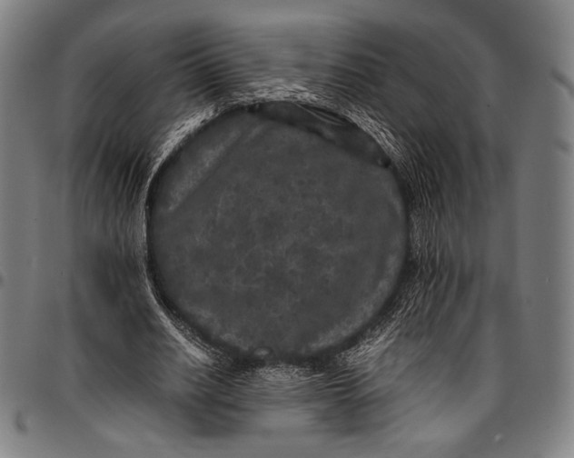 X0000097000630200802291148