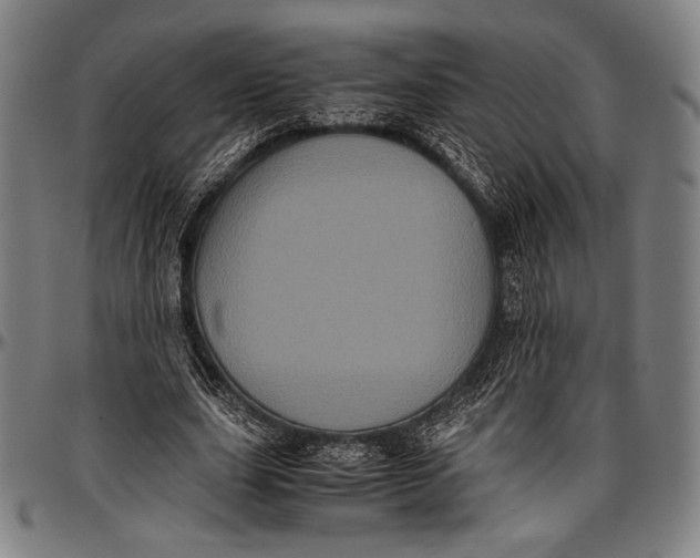 X0000097000631200802291148