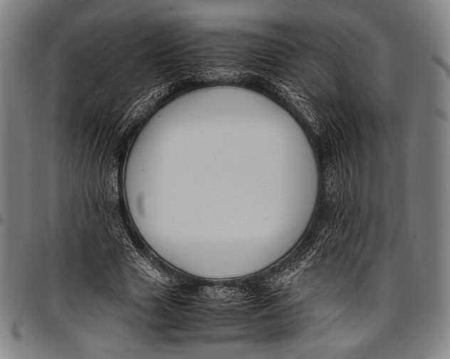 X0000097000633200802291148