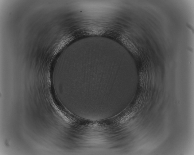 X0000097000634200802291148