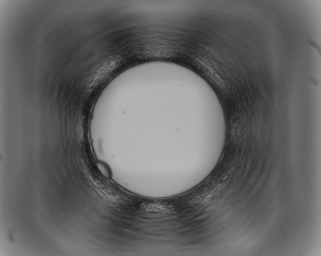 X0000097000635200802291148