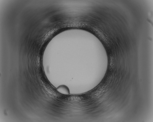 X0000097000636200802291148