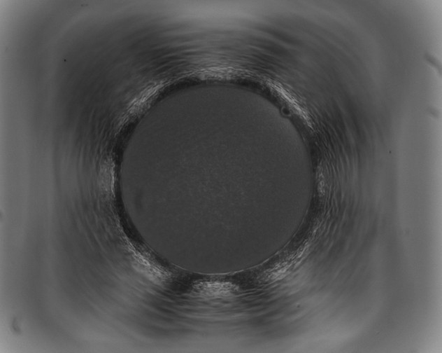 X0000097000637200802291148