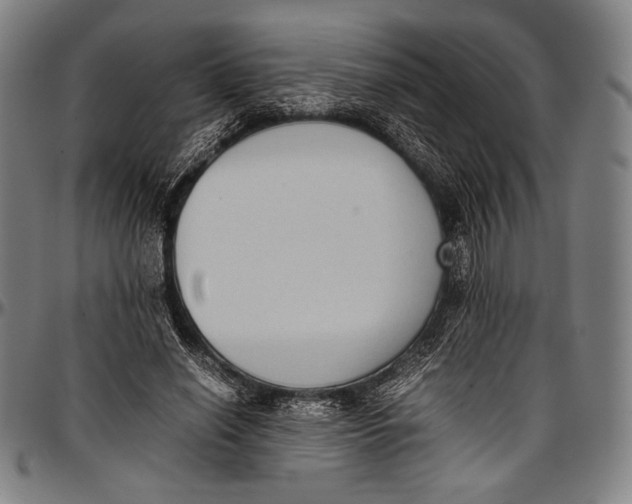 X0000097000638200802291148