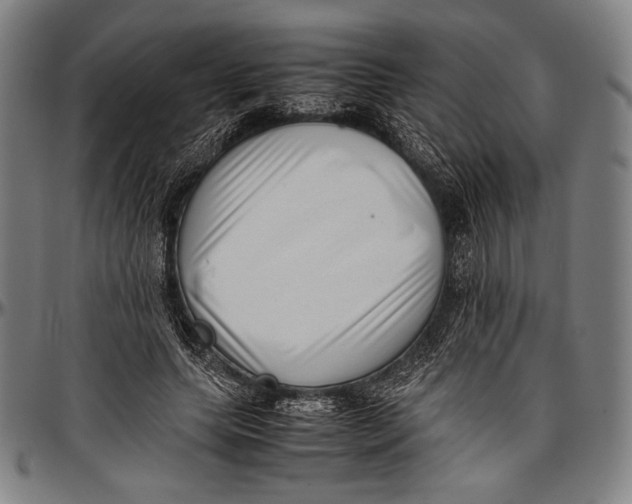 X0000097000639200802291148