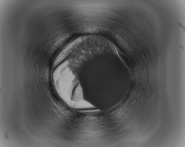 X0000097000640200802291148