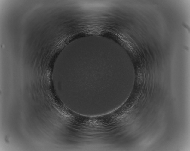 X0000097000641200802291148