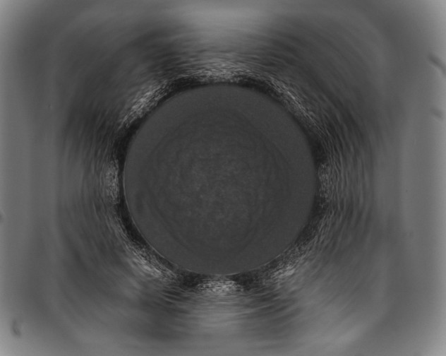 X0000097000642200802291148