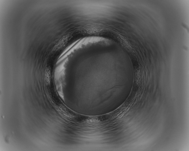 X0000097000644200802291148