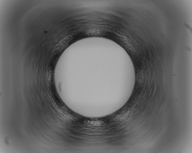 X0000097000645200802291148