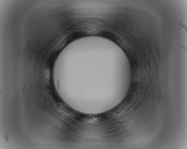 X0000097000646200802291148